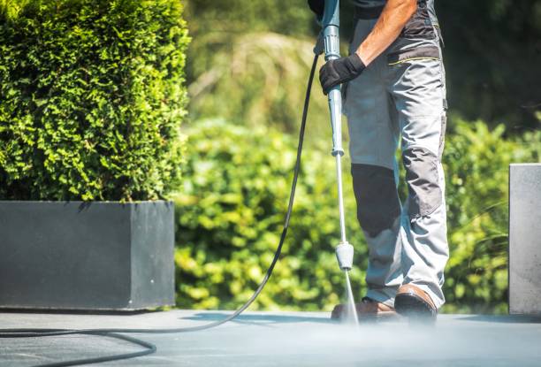  Ball, LA Pressure Washing Pros